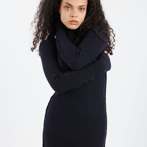 Ariyzia Wilfred Free Black Turtleneck Sweater Dress